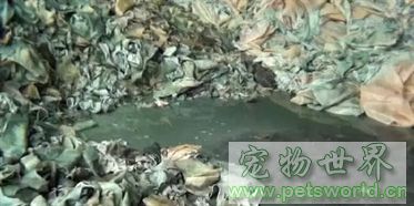 点此在新窗口浏览图片