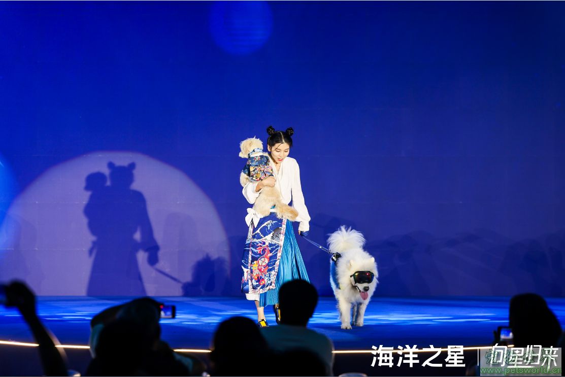 点此在新窗口浏览图片