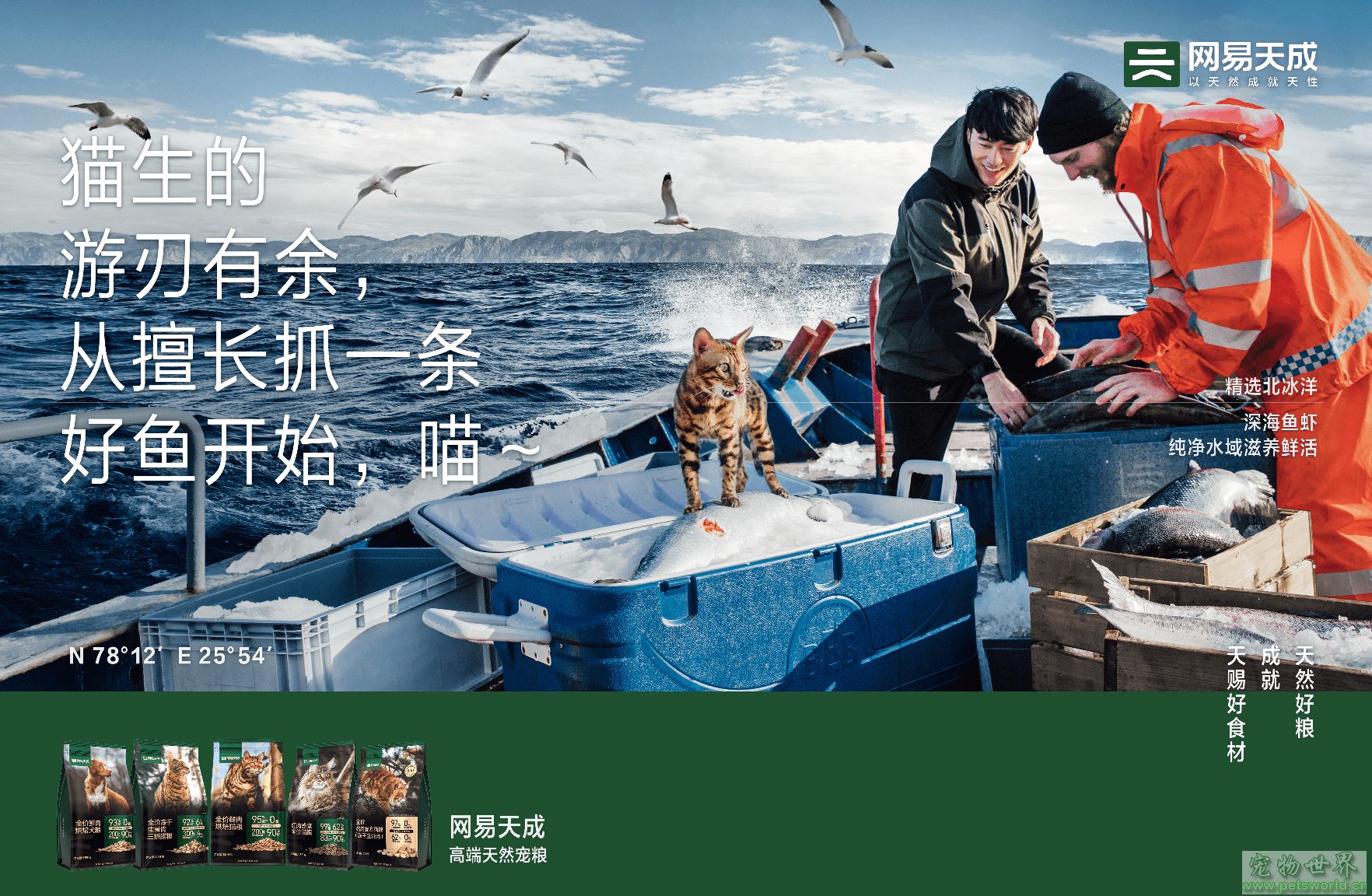 点此在新窗口浏览图片