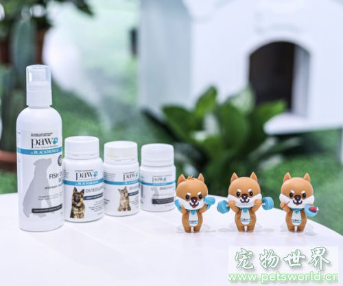 点此在新窗口浏览图片