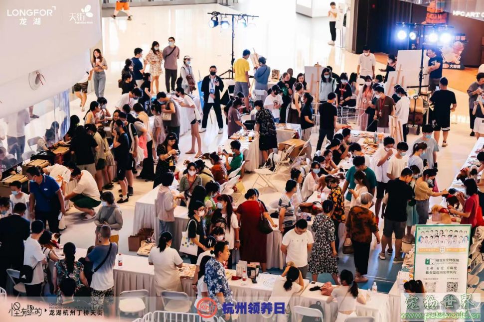 点此在新窗口浏览图片
