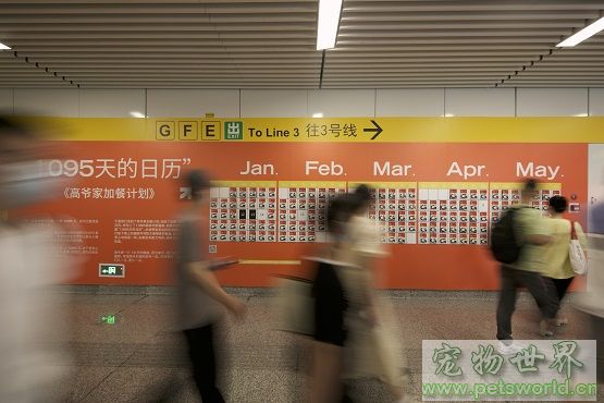 点此在新窗口浏览图片