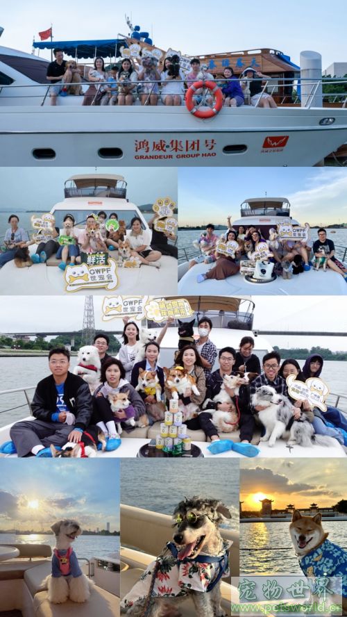 点此在新窗口浏览图片