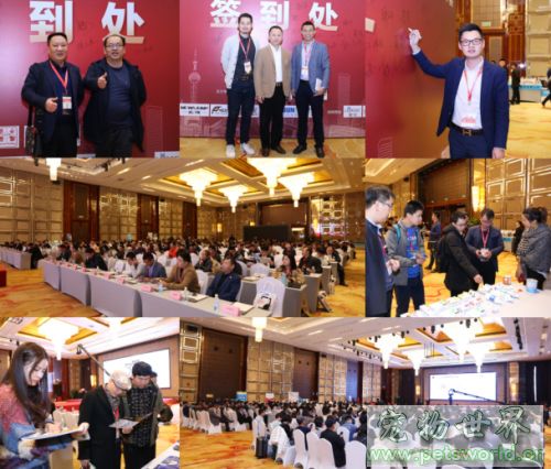 点此在新窗口浏览图片