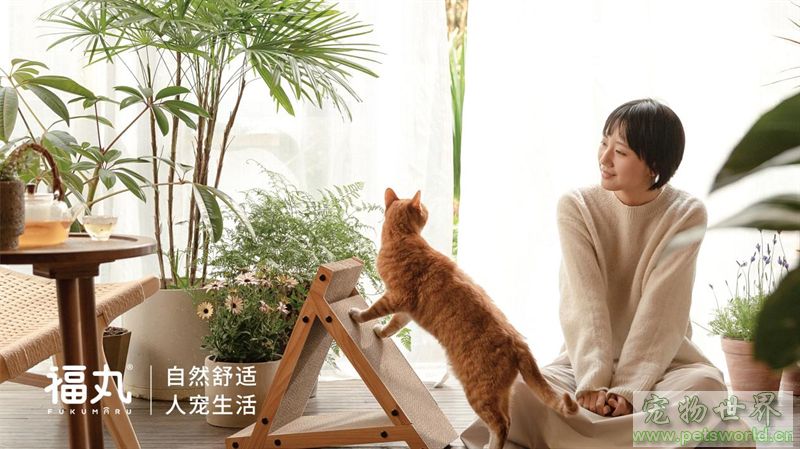 点此在新窗口浏览图片