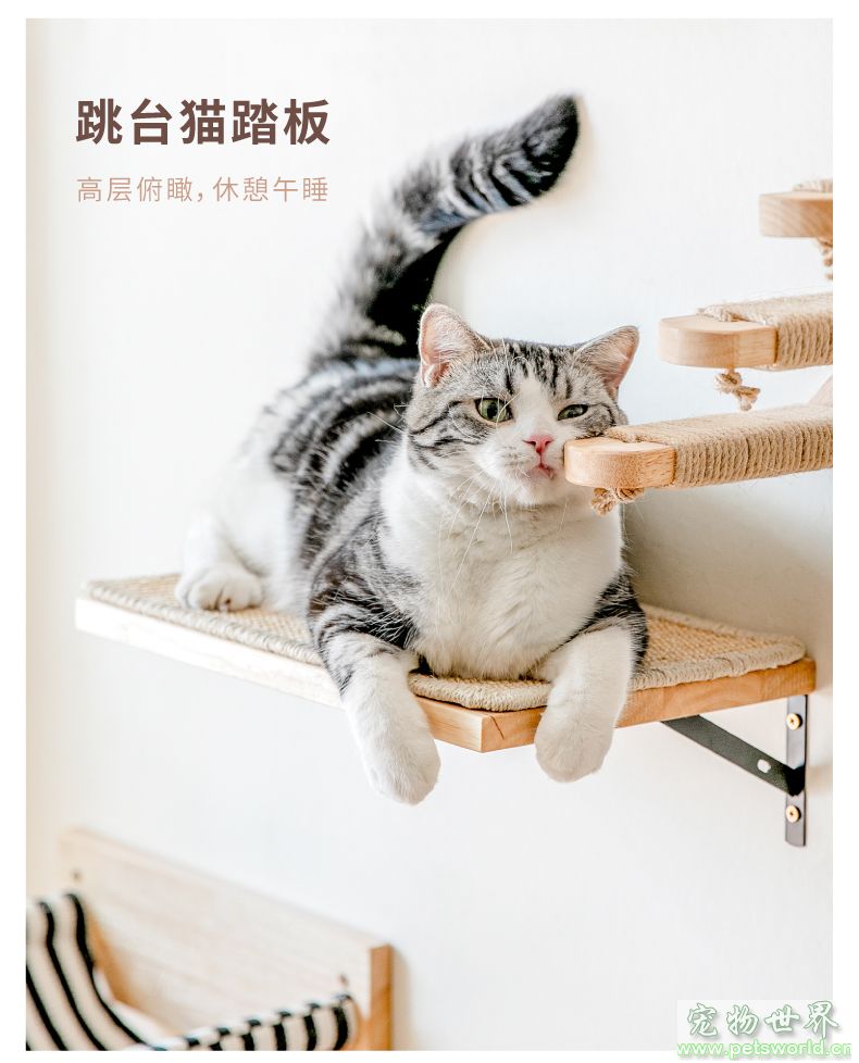 点此在新窗口浏览图片