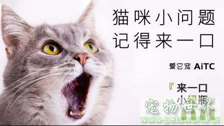 点此在新窗口浏览图片