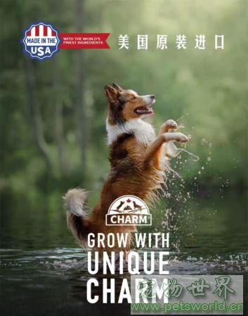 点此在新窗口浏览图片