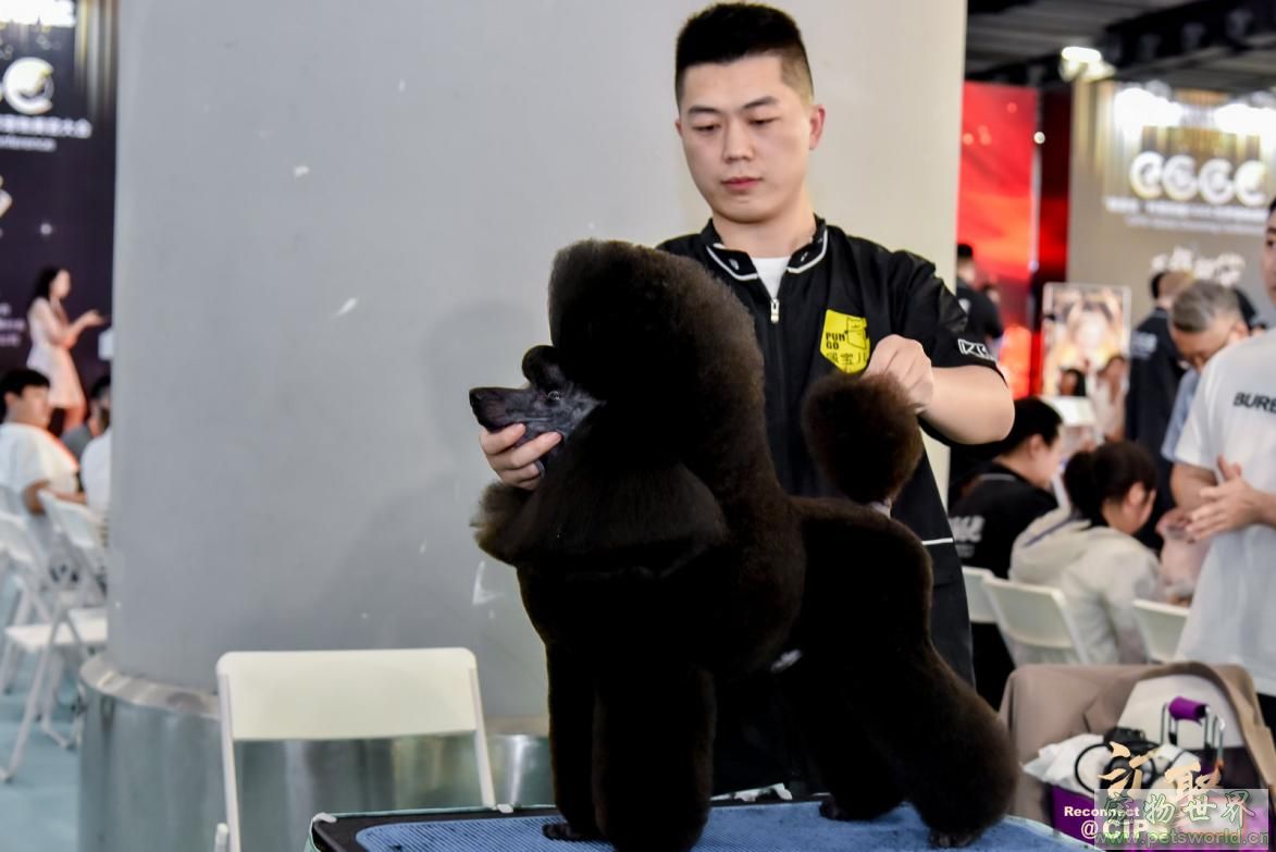 点此在新窗口浏览图片