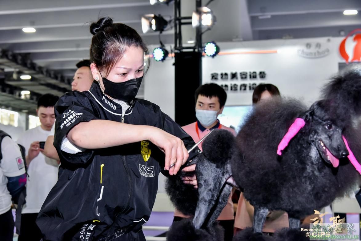 点此在新窗口浏览图片