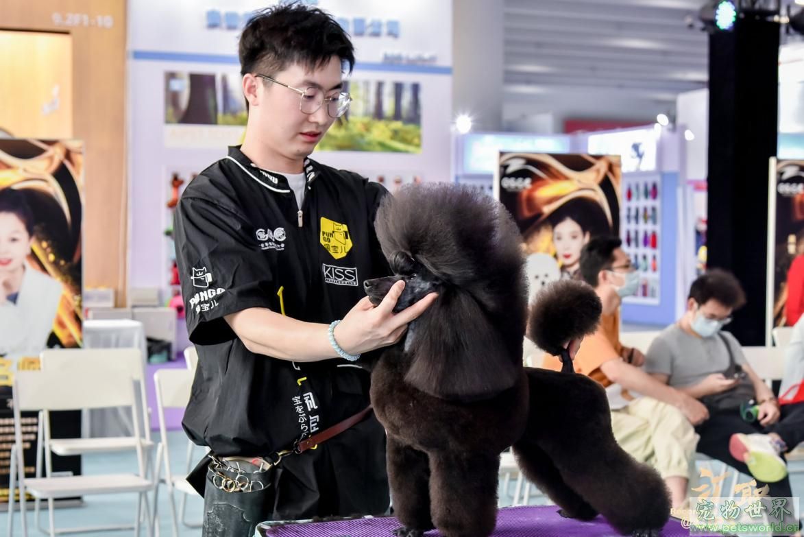 点此在新窗口浏览图片