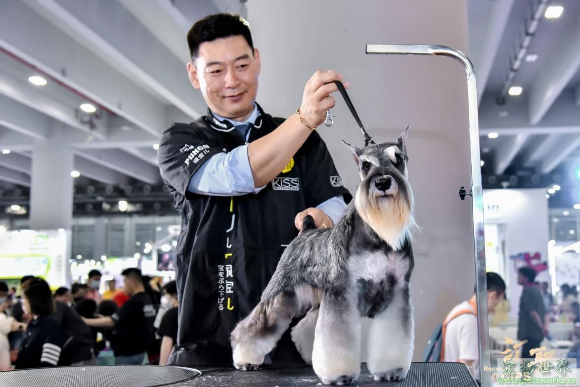 点此在新窗口浏览图片