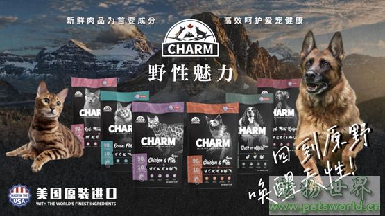 点此在新窗口浏览图片