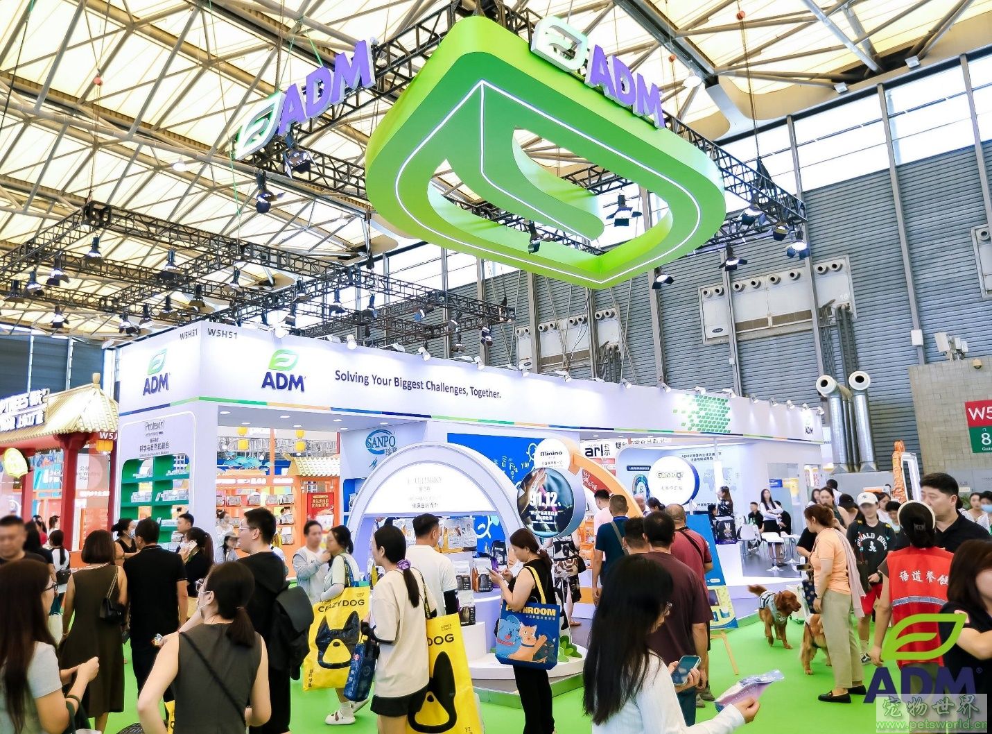 点此在新窗口浏览图片