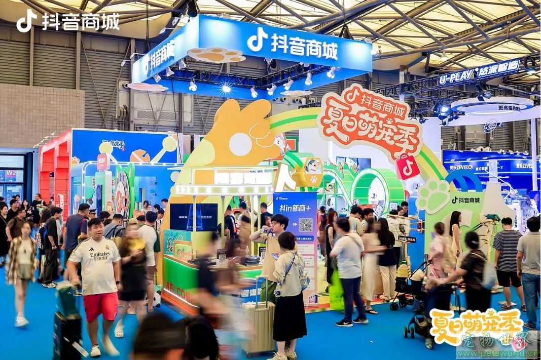 点此在新窗口浏览图片