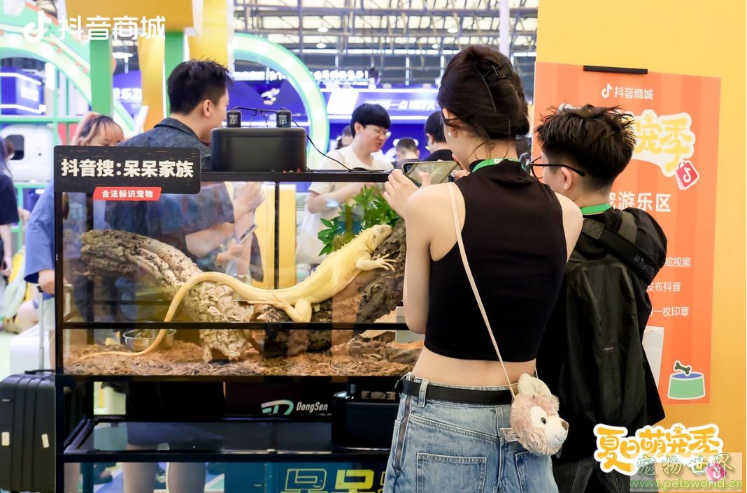 点此在新窗口浏览图片