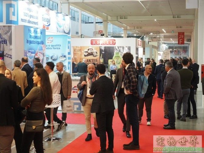 点此在新窗口浏览图片
